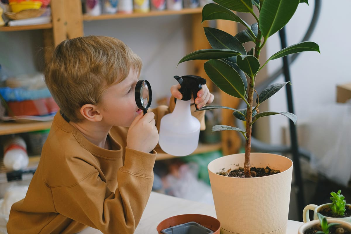 Pets and Plants